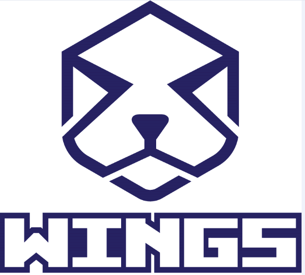 Shandong Wings Heavy Machinery Co., Ltd